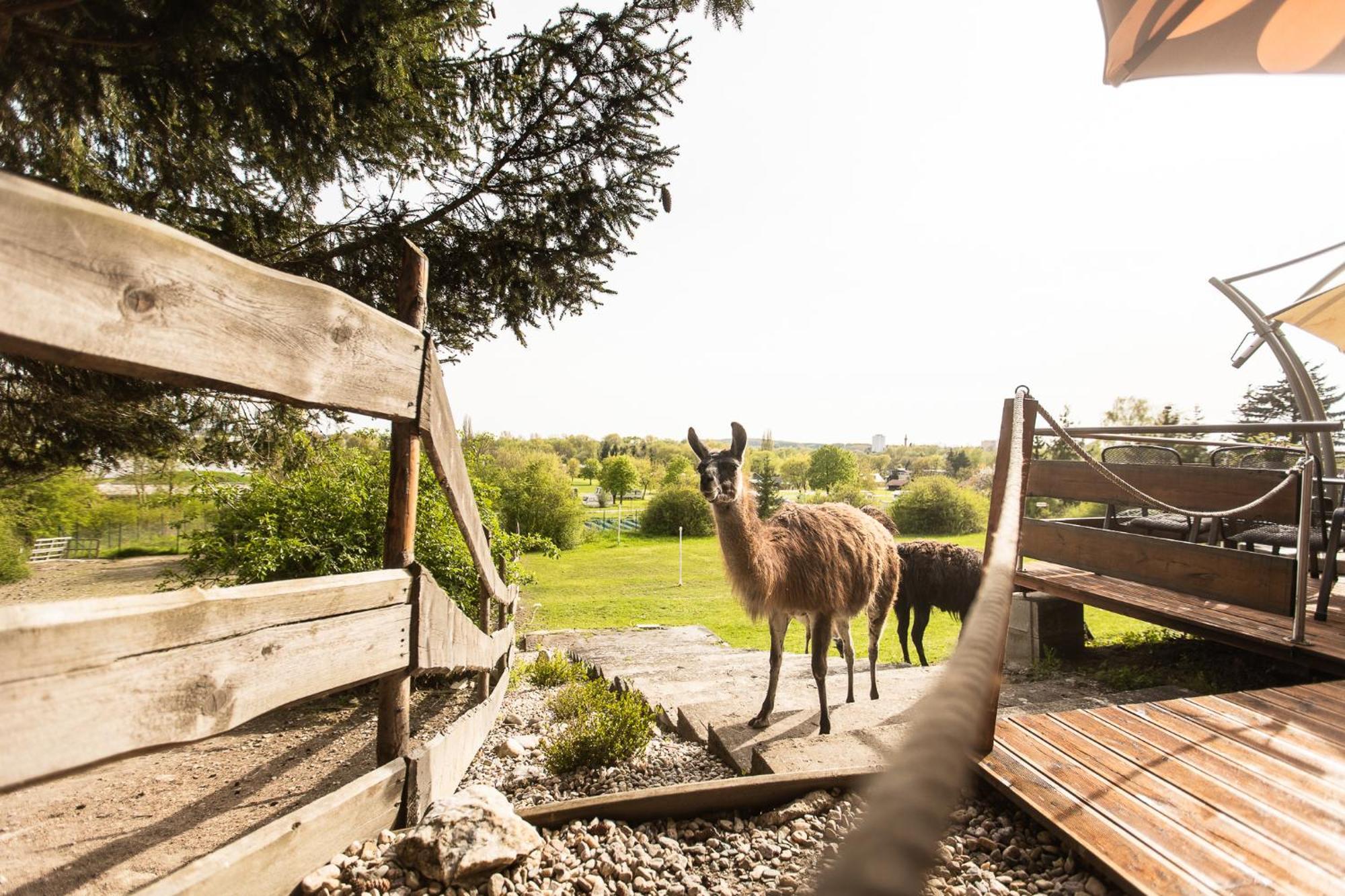 Hotel Rozkos Česká Skalice エクステリア 写真