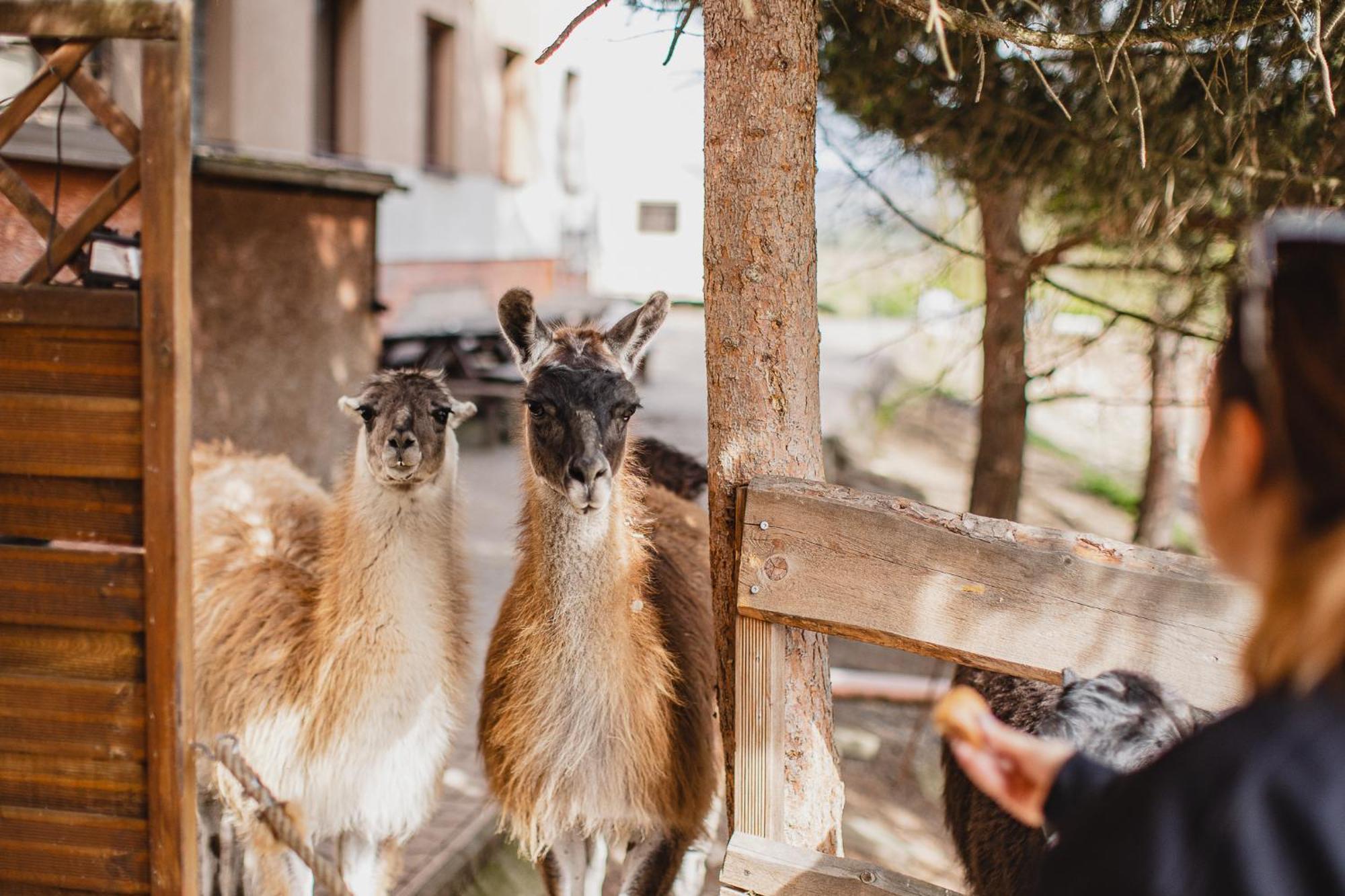 Hotel Rozkos Česká Skalice エクステリア 写真