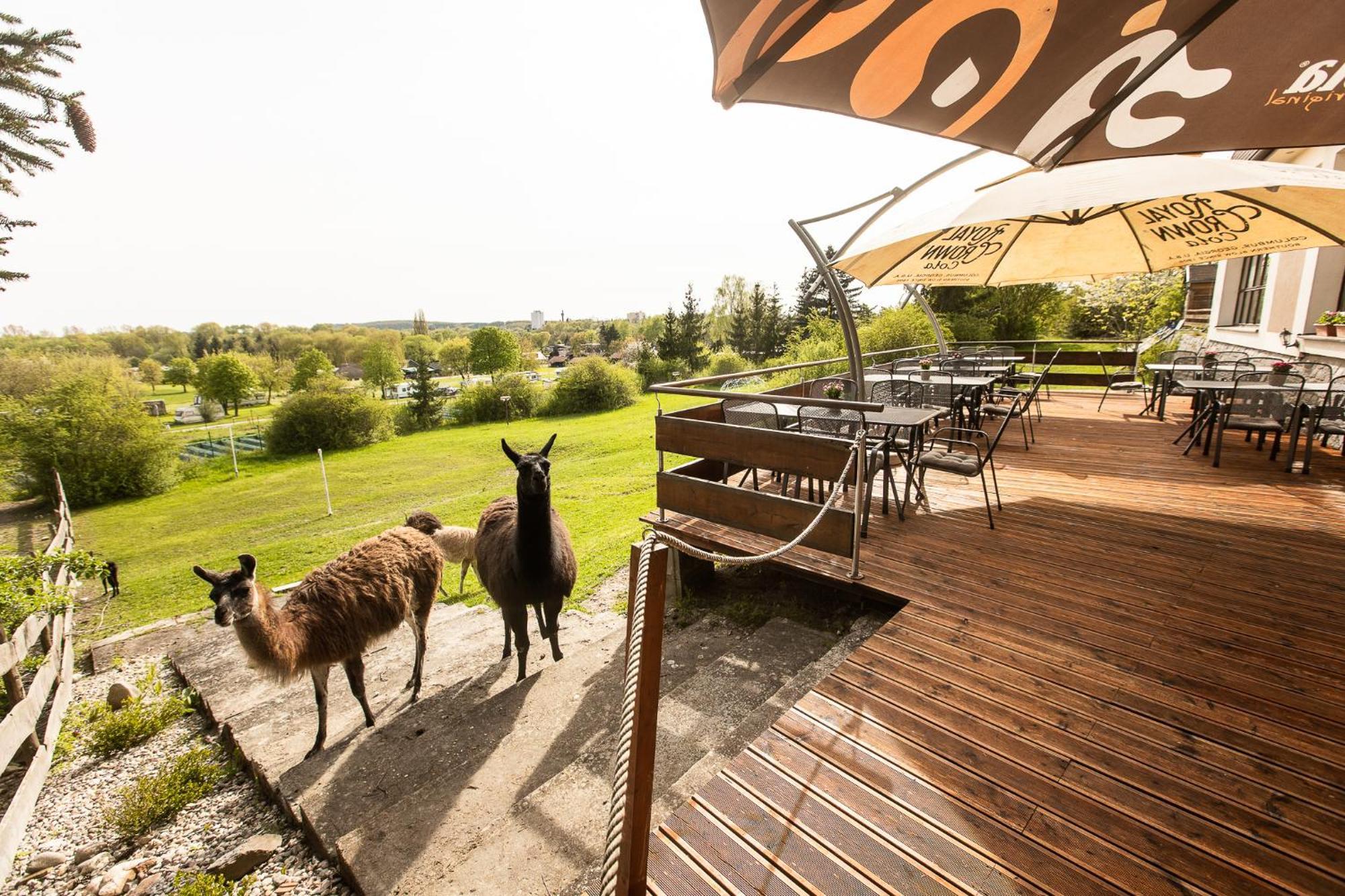 Hotel Rozkos Česká Skalice エクステリア 写真